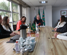 participantes da reunião CGE e Seti conversam sobre o reteste do Programa de Integridade e Compliance
