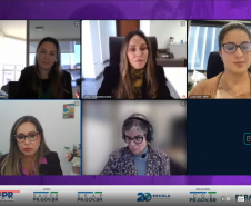 imagens das participantes em tela de computado participando do webinar 