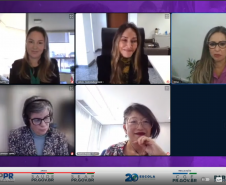imagens das participantes em tela de computado participando do webinar 