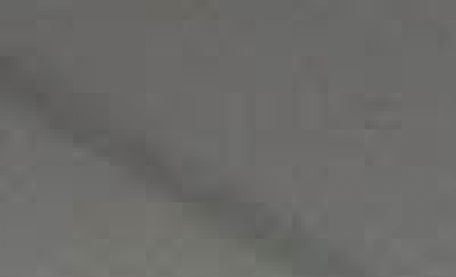 governador Ratinho Jr visita CGE no aniversário